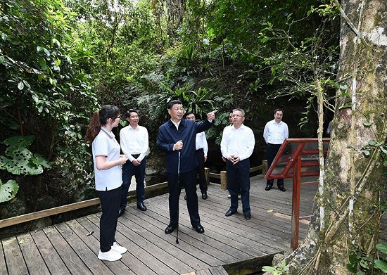加拿大预测28