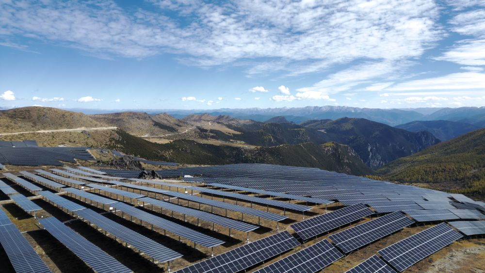 1733209538916087732.jpg 1733209562844.jpg