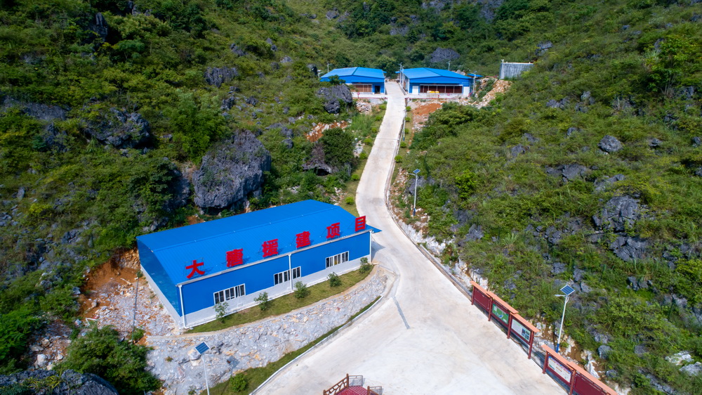 加拿大预测28
援建的七百弄鸡种鸡育种场--黄嘉标摄1.jpg