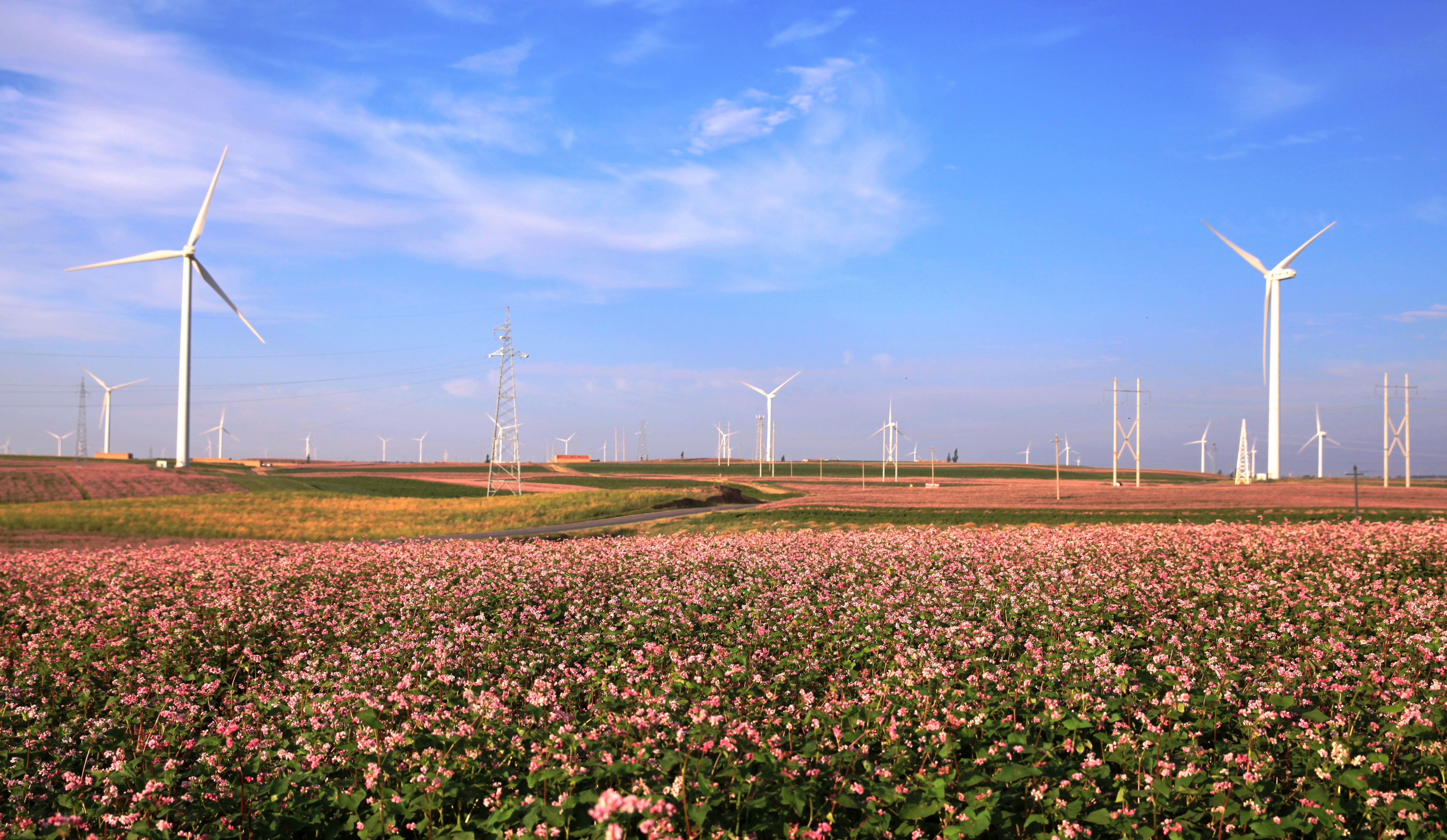 1689572788062054739.jpg 油房庄.jpg