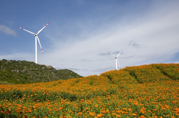 1704242902034064656.png 微信截图_20240103085331.png