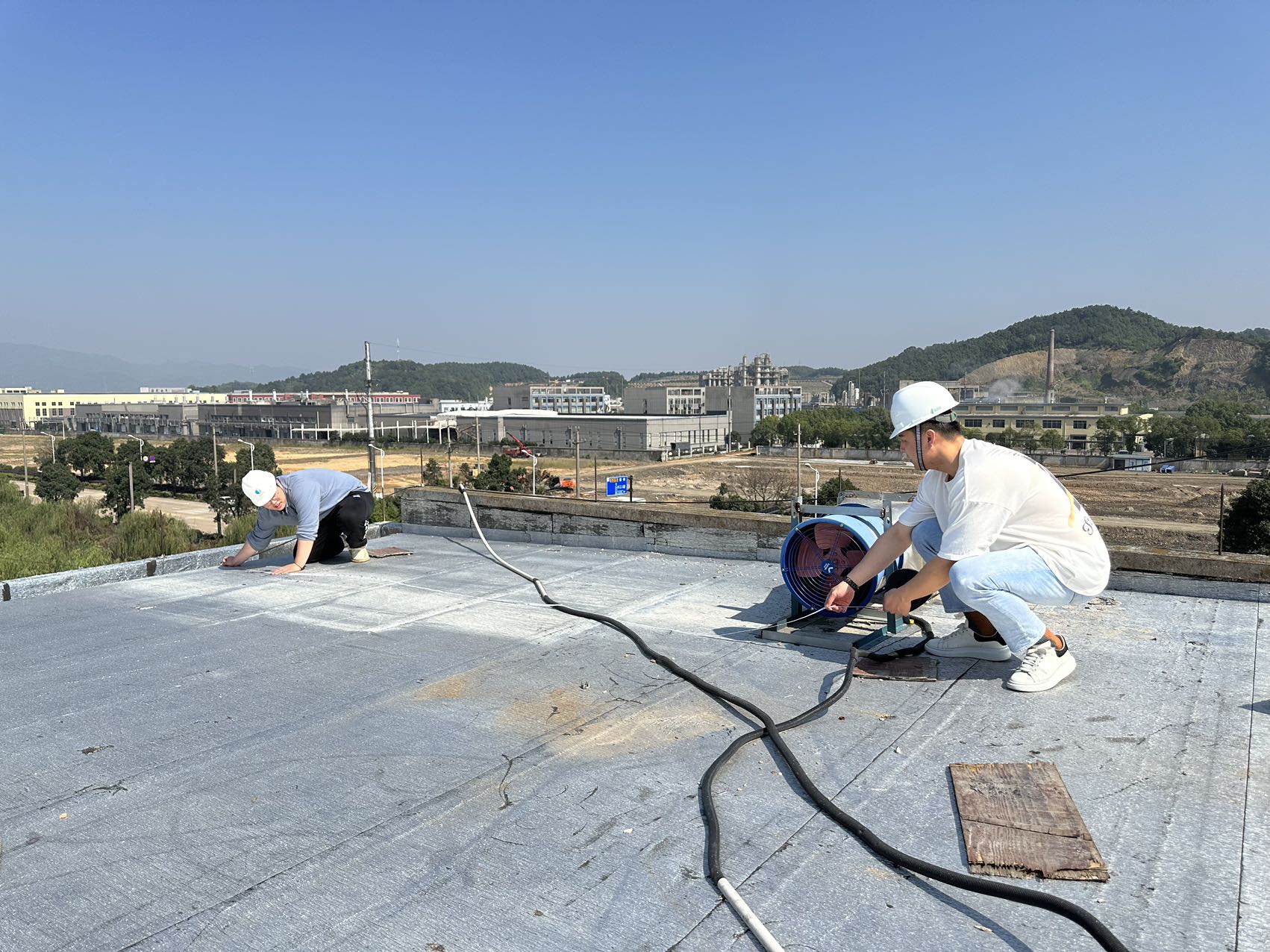 1719968008737049611.jpg 图2.jpg