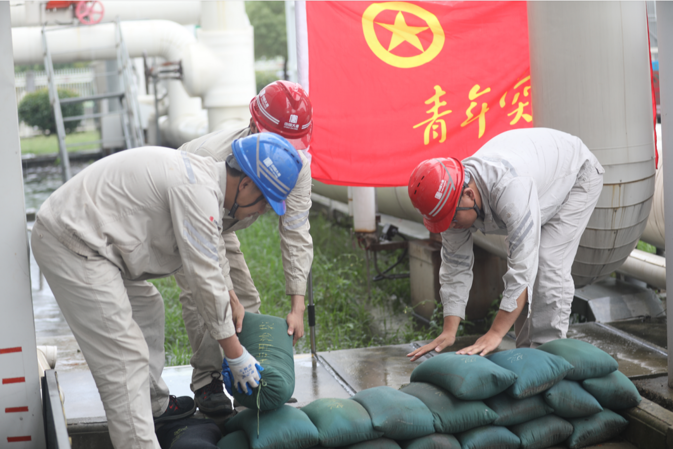 1726707152742084020.jpg 1720693715302.jpg