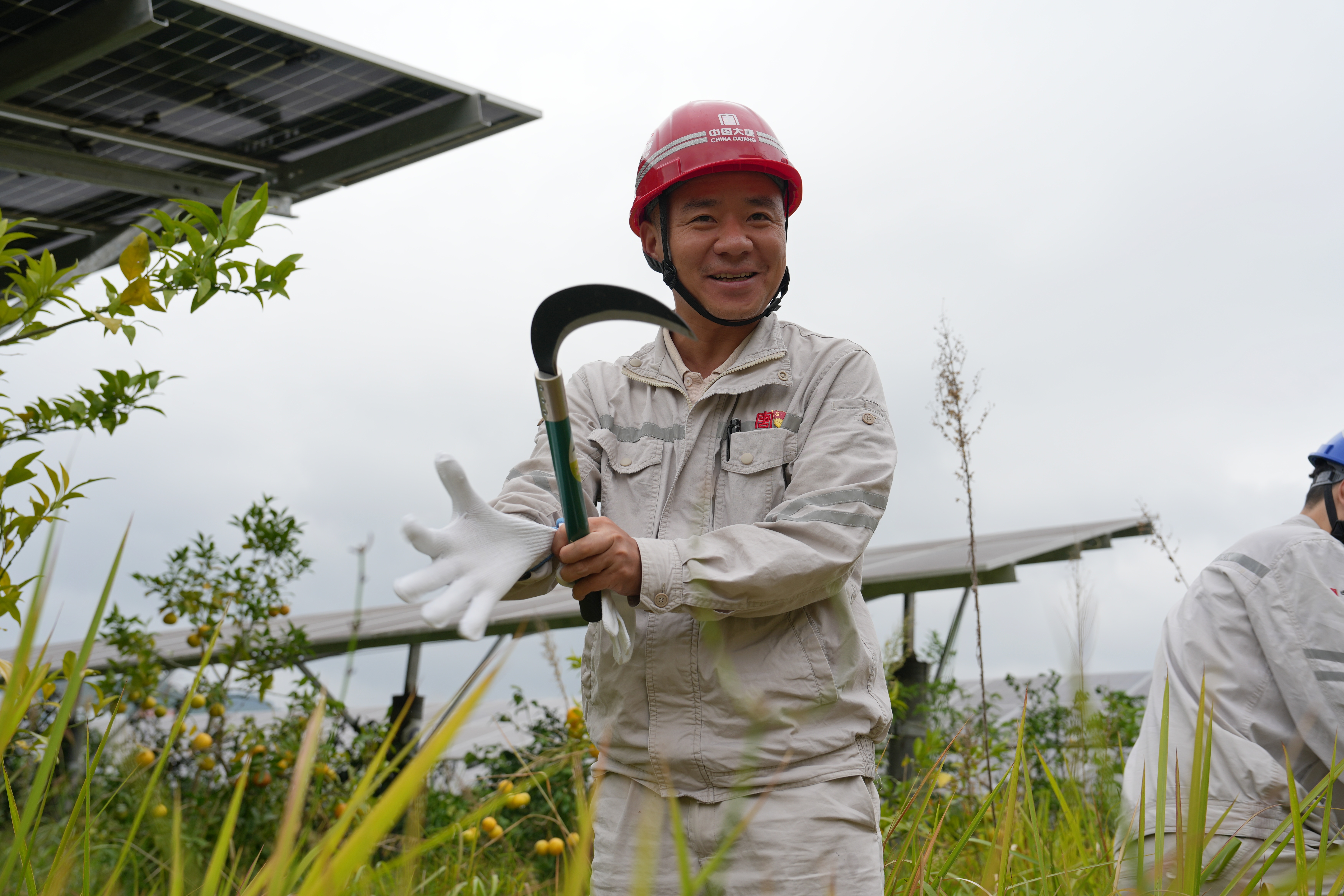 2024年10月12日，亭子口公司开展“百日攻坚 农光一体化 我们在行动”除草活动 (3).jpg