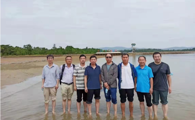 加拿大预测28