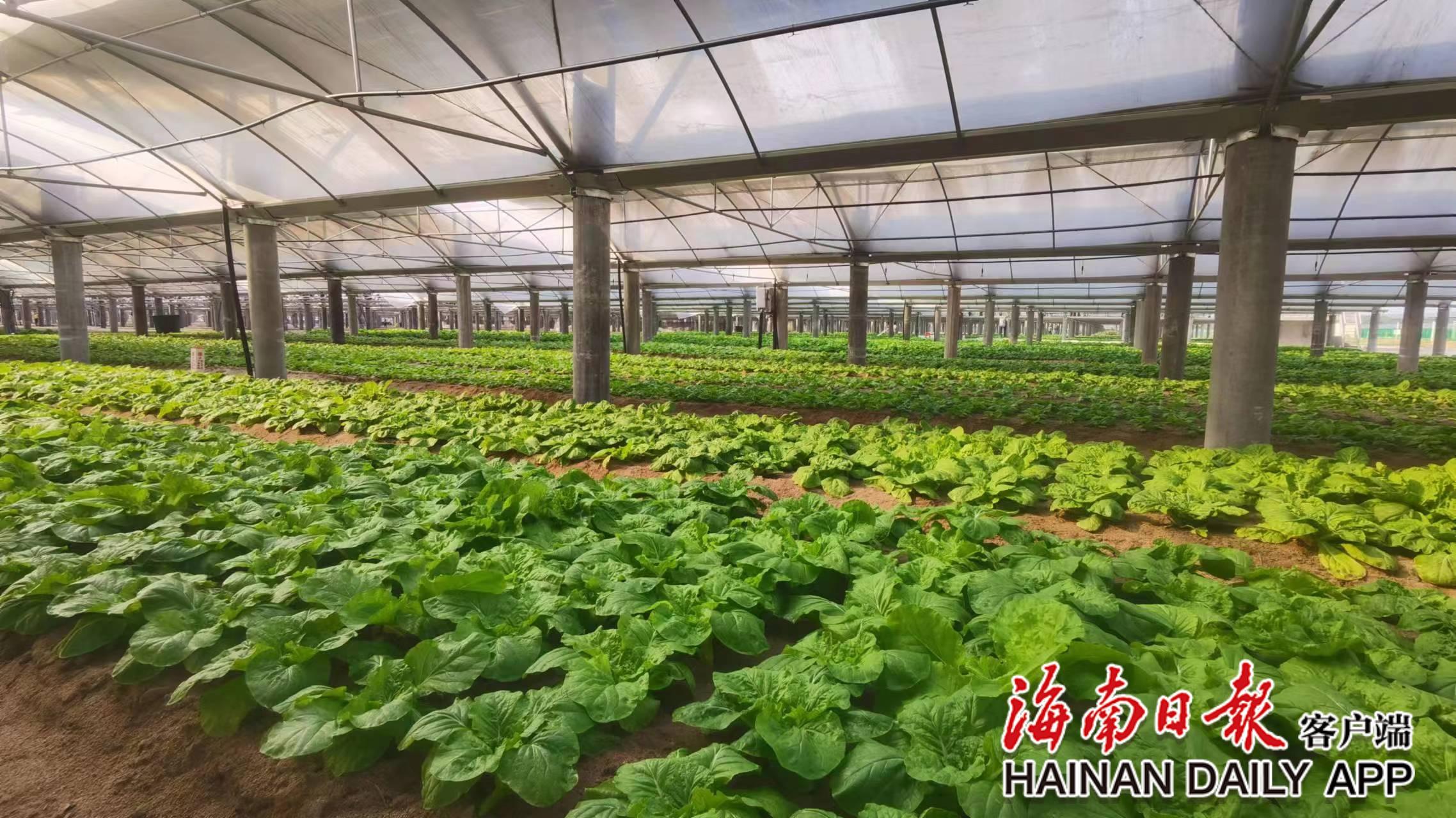 1678764010167062841.jpg 微信图片_20230314112557.jpg