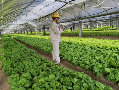 1679014781569000708.png 微信截图_20230317090644.png